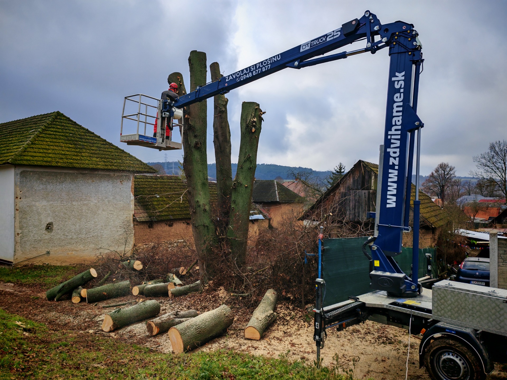 Rezanie stromov v zastavanej oblasti